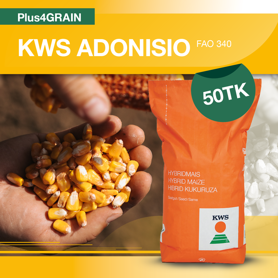Adonisio FAO 340